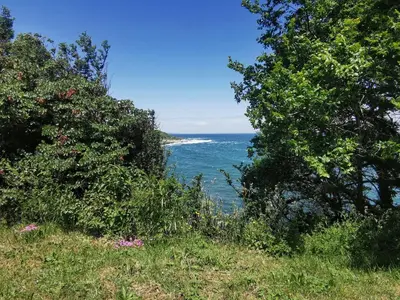 a view of the ocean from a hill with trees at Timeless Sea in Tsarevo