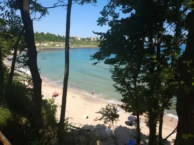 a beach with people swimming in the water at Timeless Sea in Tsarevo