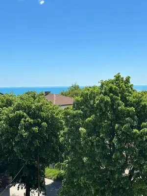 two trees with the ocean in the background at Victoria in Varna City