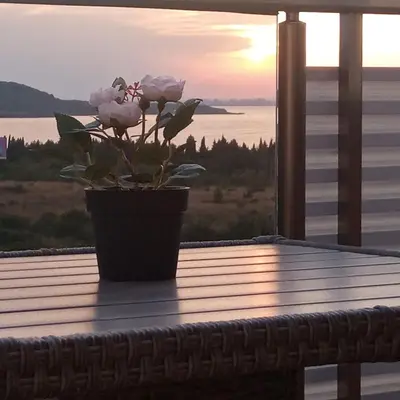 a potted plant on a table with a view of the ocean at Vila Mihnevi in Chernomorets
