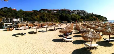 a beach with many straw umbrellas and lounge chairs at Star Dreams Apartment with Glass Veranda in Sveti Vlas