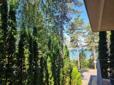 a view of a forest of trees from a porch at 1 Apartment Verano Del Mar Sozopol in Sozopol