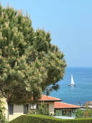 a tree in front of a house with a sail boat at Apartment in Paradise View complex in Sozopol