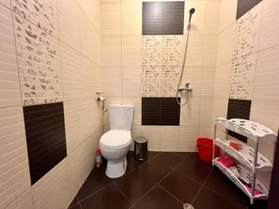 a bathroom with a toilet and a shower at Vista Sul Mare V in Kraymorie