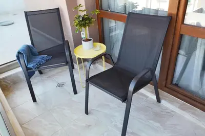 two black chairs and a small table with a plant at 
