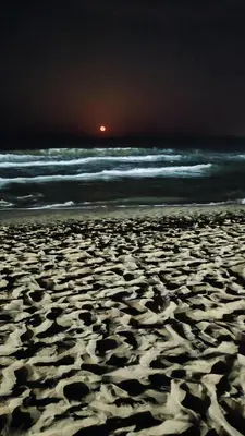 a sandy beach at night with the ocean at Umi Apartments in Sunny Beach