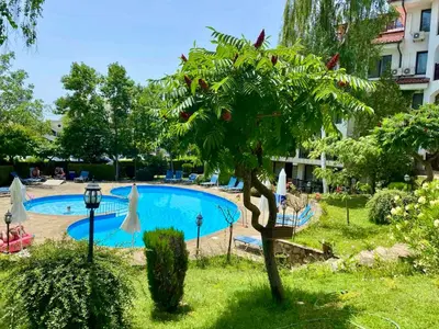 a pool in a yard with a tree and umbrellas at DELFIN Penthouse amazing view in Sveti Vlas