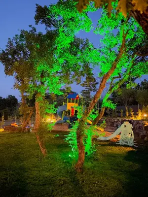 a tree with green lights in a park at night at Holiday Village Smokinia in Sozopol