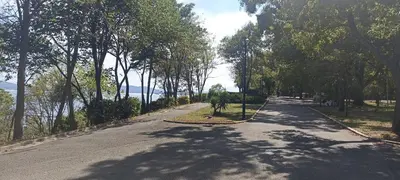 an empty road with trees on either side of it at Apartament Lazur 13 in Burgas City