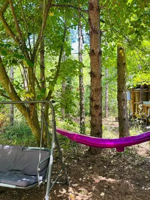 a hammock and a chair in the woods at Каравана Синята Маймуна плаж Градина # RV Blue Monkey on the beach in Chernomorets