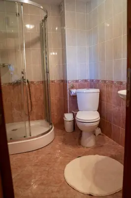 a bathroom with a toilet and a shower and a sink at Къща за гости Далинда in Byala