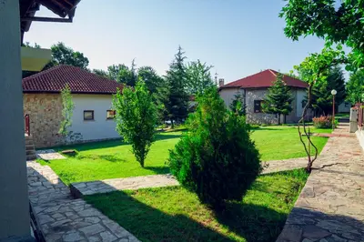 a yard with two trees and a house at Къща за гости Далинда in Byala