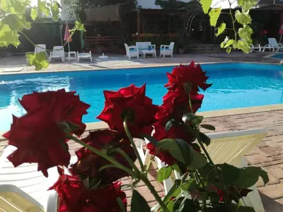 a plant with red flowers next to a swimming pool at Студио - Морско бягство in Primorsko