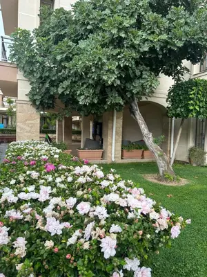 a pile of pink and white flowers in front of a building at Sveti vlas apartament Sorrento Sole Mare V&D Luxury Style Apartment Свети-влас апартамент студио in Sveti Vlas