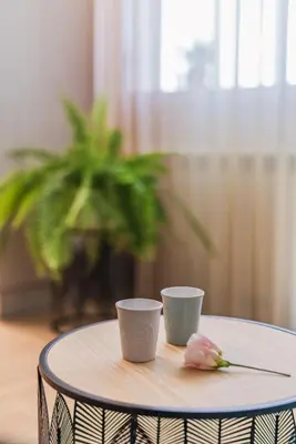 two cups on a table with a flower on it at Luxury Seaside Apartment in Varna City