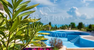 a close up of a plant next to a swimming pool at June Sea view Studio Apartment in Burgas City