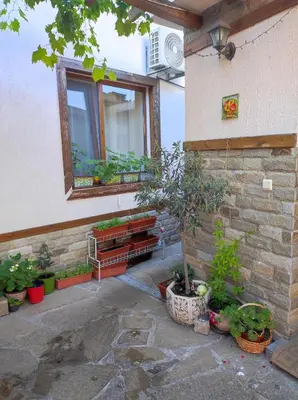 a building with a window and a bunch of potted plants at Студио в центъра на стария Несебър in Nesebar