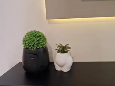 two plants in vases sitting on a table at Delux Apart Vulchevi with Parking in Burgas City