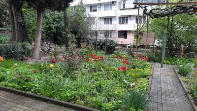 a garden with colorful flowers and a brick path at BOHO Apartment in Varna City