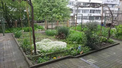 a garden with white flowers and a fence at BOHO Apartment in Varna City