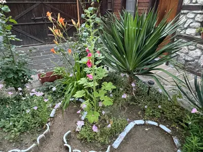 a garden with flowers and plants in a yard at Вила Мила in Tsarevo