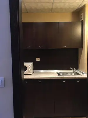 a kitchen with black cabinets and a sink at The Red Lozenets in Lozenets