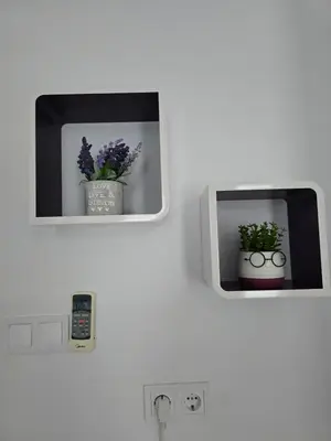 a mirror with two potted plants on a wall at Stephanovy Guest House in Sozopol