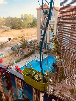 a bird cage on a balcony with a swimming pool at Студия Мир Авангарда in Sunny Beach