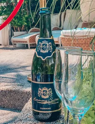 a green bottle of wine next to a glass at Urlaub in Harmony in Sunny Beach