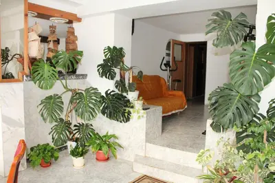 a living room with potted plants and an orange couch at Hotel Bobchev in Sozopol