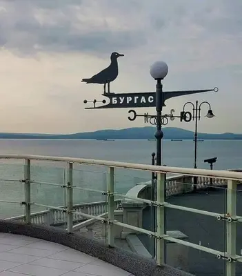 a bird on top of a sign on a boat at Prestige Apartment 1 in Burgas City