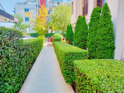 a garden with green hedges and a walkway at Amara В 10 Sunny Beach in Sunny Beach