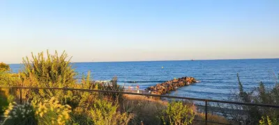 a body of water with a group of animals in the water at Sun Wave Apartment near the Sea in Sveti Vlas