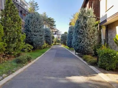 an empty street with trees on both sides of the road at Трёхкомнатные роскошные апартаменты у моря в Санта Марина in Sozopol