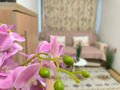 a bunch of pink flowers in a room at Apartment Rilska - Center and Sea Garden in Burgas City