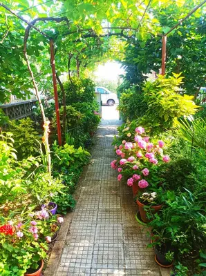 a garden with flowers and a brick walkway at Family Hotel Magnolia - Summer residence in Primorsko