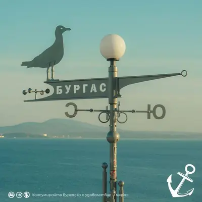 a street sign with a bird on top of a pole at Luxury Apartments Central KIRIL I METODII 3 in Burgas City