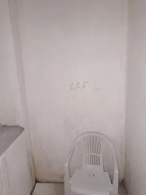 a white toilet in a room with graffiti on the wall at Amadeus 19 in Sunny Beach