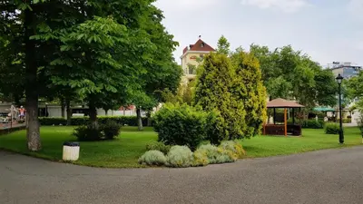 a park with bushes and trees and a building at Апартамент Дани in Obzor