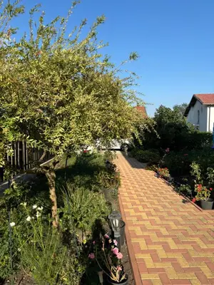 a brick pathway with flowers and trees in a garden at Rose Villa in Trŭstikovo