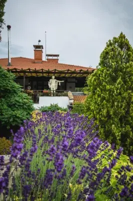a garden with purple flowers in front of a building at Marina Trio in Sozopol