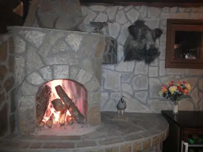 a stone fireplace with a bird in front of it at Семеен хотел Звезда in Sŭdievo