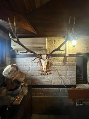 a wall with a deer head and antlers on it at Семеен хотел Звезда in Sŭdievo