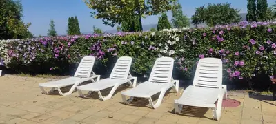 four white chairs sitting in front of a hedge of flowers at Holiday Fort Golf Club MIA 2 in Sunny Beach