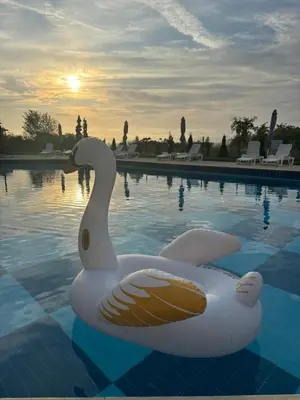 a swan floating in a pool at sunset at Blue Bay Apartments in Byala