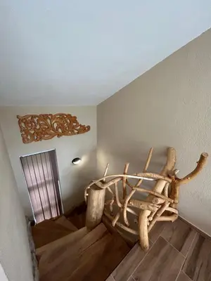 a room with a dinosaur skeleton on the floor at Вилно селище Зора in Shkorpilovtsi
