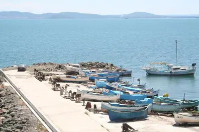 a group of boats are docked in the water at Apartments Helios in Pomorie