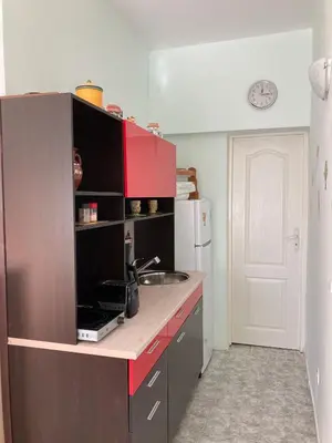 a kitchen with a counter with a sink and a refrigerator at Gemütliche Ferienwohnung zwischen Bergen und Meer in Orizare