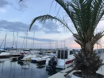 a group of boats docked in a marina with a palm tree at Sea Sunrise Apartment in Burgas City