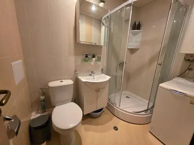 a bathroom with a shower and a toilet and a sink at Golden Lady in Sveti Vlas